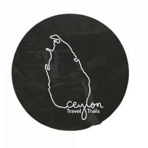 about malibu pixel digital marketing agency in sri lanka